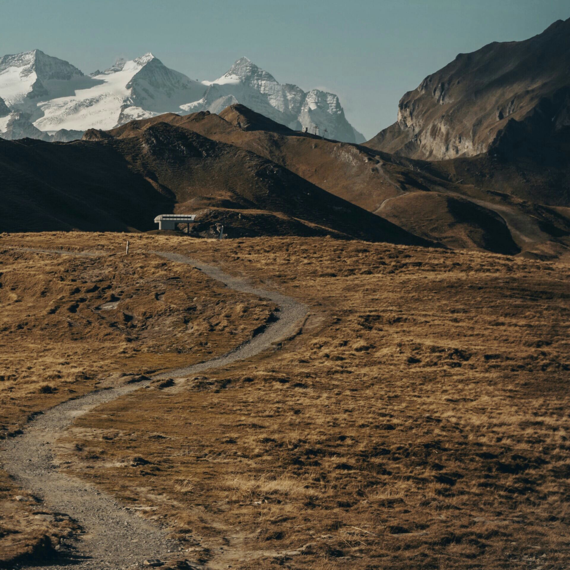 Аватарка пользователя