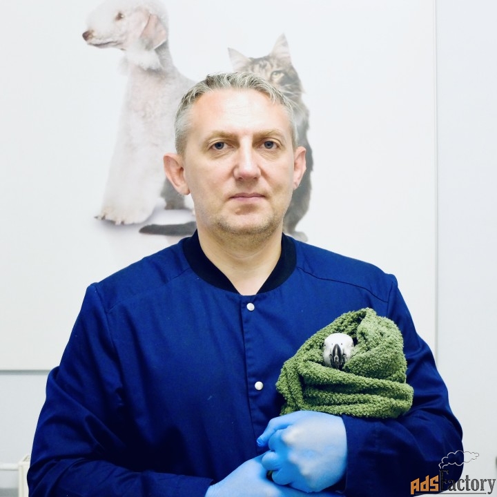 Лечение птиц в Москве