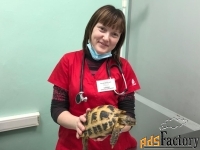 Лечение рептилий в Ясенево.