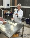 Семинар обучения сыроварению в Москве