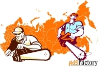 Санитарная вырубка деревьев и расчистка просек по ЮФО и СКФО