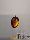 Кулоны, подвески из янтаря