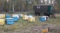 Продам  пчелоинвентарь и оборудование для пасеки