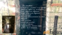 дом 100 м² на участке 8 сот.