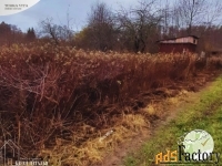 Участок 6.063 сот. (садоводство)