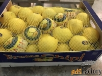 Продаем лимон