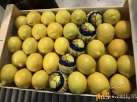 Продаем лимон