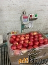 Продаем яблоки