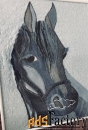 Пано «Голова коня»