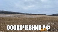 Ищем масштабный объект в работу