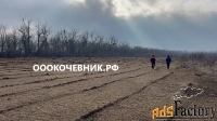 Расчистка территорий от деревьев, кустарников и корней