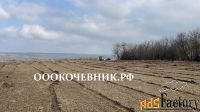 Расчистка территорий от деревьев, кустарников и корней