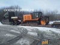 Расчистка территорий от деревьев, кустарников и корней