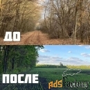 Расчистка территорий от деревьев и пней от 1 Га