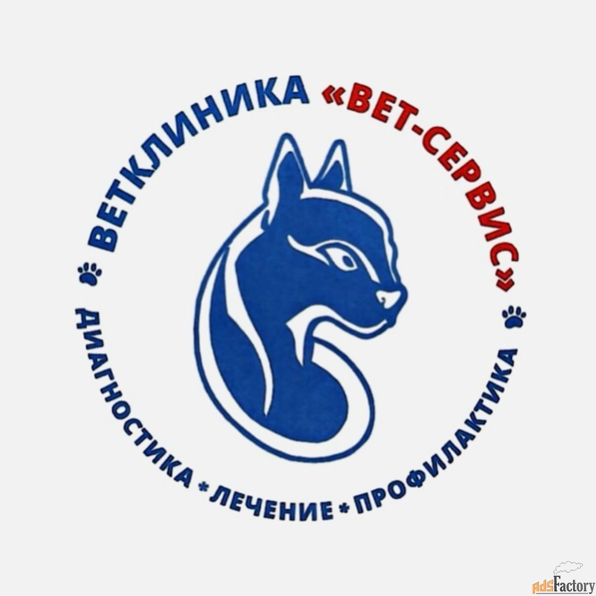 ветеринарный врач