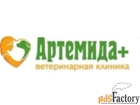 уборщица в ветеринарную клинику