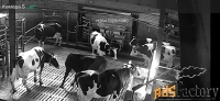 механизатор / тракторист
