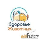 оператор контактного центра ветклиники (исходящая линия)