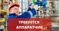 аппаратчик / оператор / ремонтник