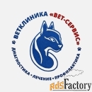 ассистент ветеринарного врача