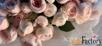 продавец-флорист