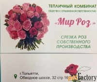 цветовод в тепличный комплекс (мир роз)