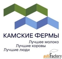 ветеринарный врач