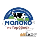 начинающий специалист / доярка / оператор машинного доения