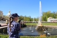 системный администратор / аналитик данных