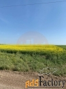 Участок 7.80 сот. (садоводство)