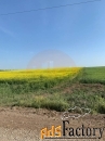 Участок 7.80 сот. (садоводство)