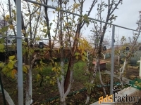 дом 58.50 м² на участке 13.00 сот.