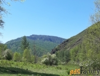 Участок в горах Алтая у речки под тур комплекс с пантолечением