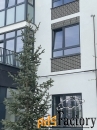 3 - комн.  квартира, 91.6 м², 1/4 эт.