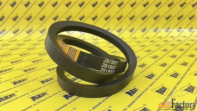 Ремень OEM Z81937