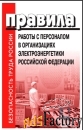 Правила работы с персоналом в организациях электроэнергетики РФ