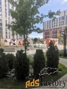1 - комн.  квартира, 36,9 м², 7/18 эт.
