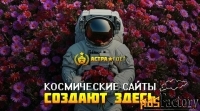 Надёжные сайты и красивый дизайн. Частник гарантия.