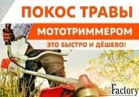 Услуги покоса травы триммером