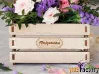 Интерьерный ящик-кашпо для цветов и декоративных композиций.