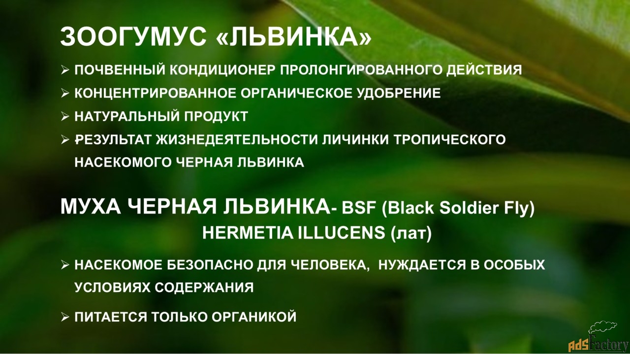 Зоогумус Львинка. Почвенный кондиционер пролонгированного действия.