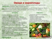 PROионит PROionit Кондиционер почв с Микроэлементами