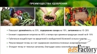 Зоогумус Львинка. Почвенный кондиционер пролонгированного действия.