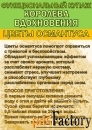 Купаж «Королева Вдохновения». Зелёный чай №95 и цветы Османтуса