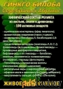 Функциональны чай. Листья Гинкго двулопастного Ginkgo Bilobae folia