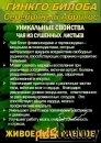 Функциональны чай. Листья Гинкго двулопастного Ginkgo Bilobae folia