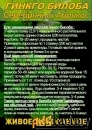 Функциональны чай. Листья Гинкго двулопастного Ginkgo Bilobae folia