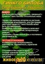 Функциональны чай. Листья Гинкго двулопастного Ginkgo Bilobae folia