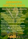 Фиточай Джинура Прокумбенс. Гинура. Сушёный лист.
