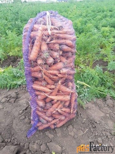 11 сортов картофеля от одного поставщика оптом
